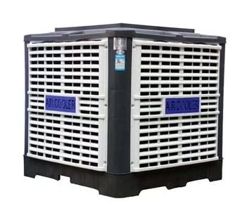 FT-300յ